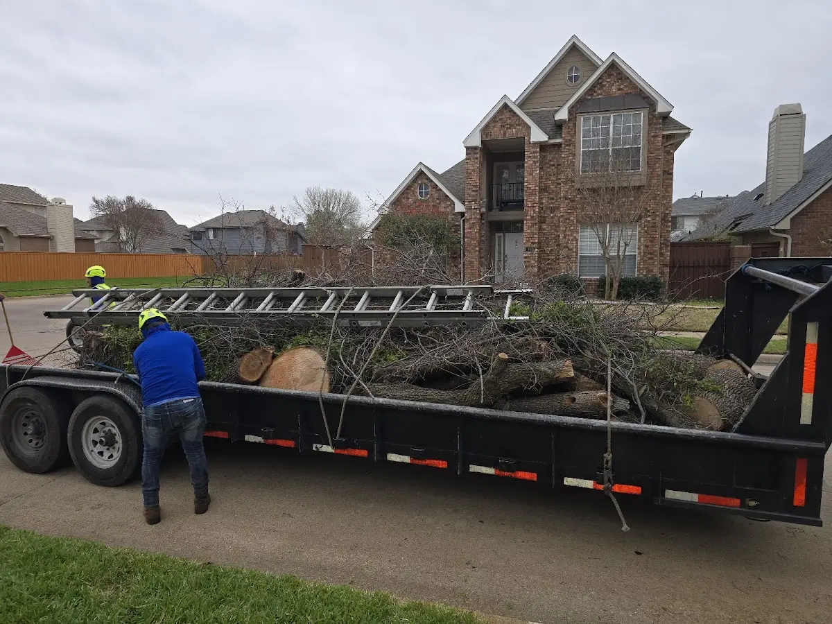 Expert Lot Clearing with proper safety equipment in Duncan